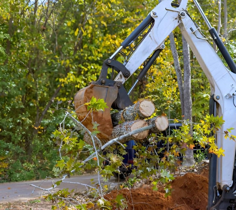 High Vision Tree Services - Marion, NC