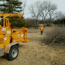 A & M Tree Service & Stump Grinding - Tree Service