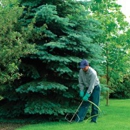 Liquid Green Turf & Tree Care - Weed Control Service
