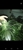 Bayside Hydroponics - Garden Equipment & Supplies