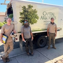Capital Arborists Inc - Arborists