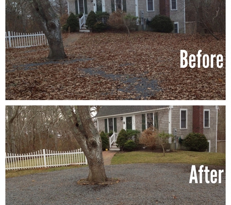 Cape Cod Tree & Landscape Services - South Chatham, MA. Fall Clean Up, Chatham