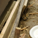 Morris Wildlife Control - Pest Control Equipment & Supplies