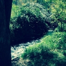 Los Olmos Lodge - Hotels