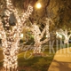 Christmas King Light Install Pros Laguna Niguel