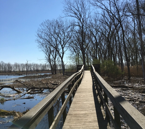 Tifft Nature Preserve - Buffalo, NY