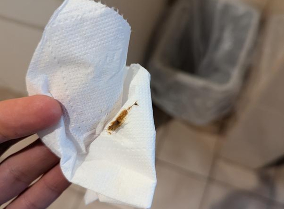 William MacIntosh Motor Lodge - Naracoorte, SA. I don't even know what this is but it's gross