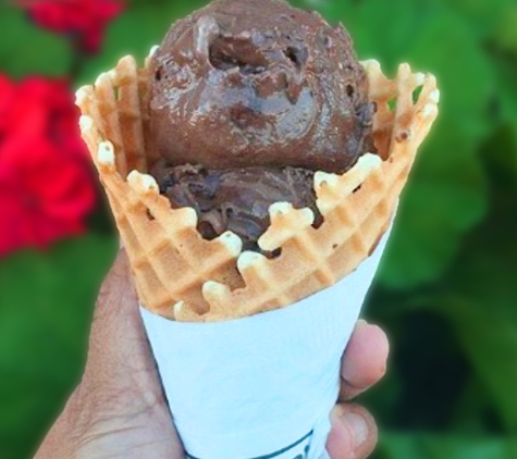 Bruster's Real Ice Cream - Newnan, GA
