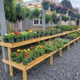 Triad Landscape Supply & Nursery