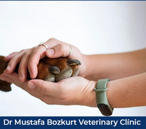 Dr. Mustafa Bozkurt - Whyalla, SA. Dr Mustafa Bozkurt Veterinary Clinic