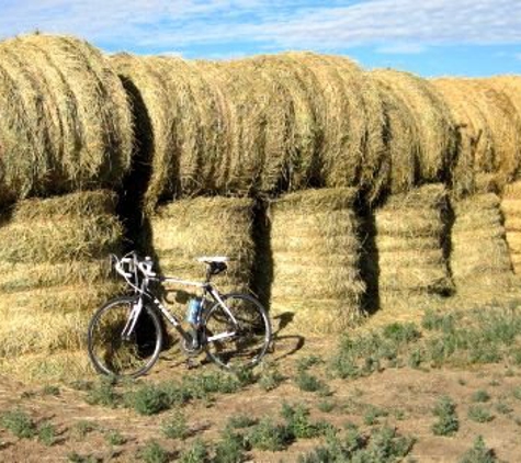 At Your Pace-Freestyle Cycling Adventures - Loveland, CO