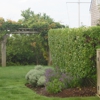 David Bartsch Landscape Architecture LLC gallery