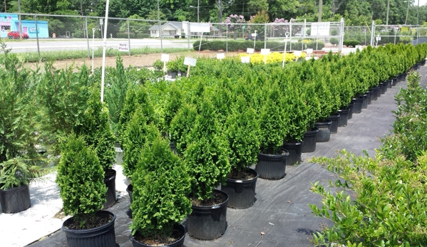 Oakdale Greenhouses, LLC - Charlotte, NC. Shrubs