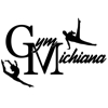 Gymnastics Michiana gallery