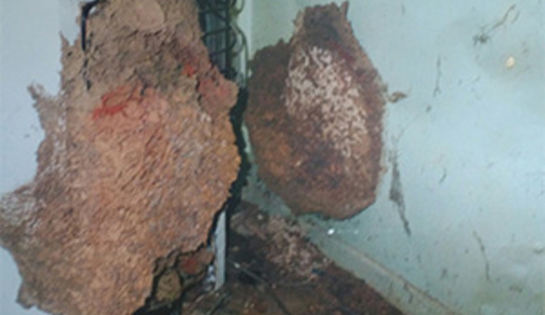 Boonah - Beaudesert Termite Specialist - Beaudesert, QLD. Subterranean Termites detected in a fence post