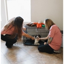 VeterClean - Cleaning Contractors