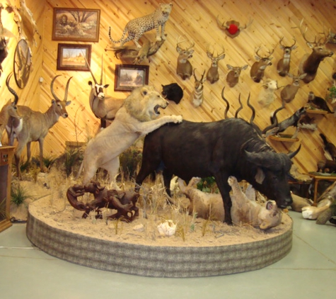 Nature's Way Taxidermy - Green Bay, WI