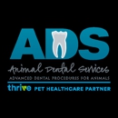Animal Dental Services - Veterinarians