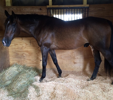 West Creek Stables - Austell, GA