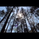 Jordan Lake Educ State Forest - State Government