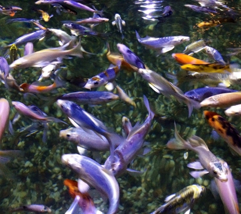 Austin Aquarium - Austin, TX