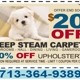 Cleaning Carpet Houston