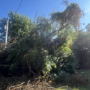 1st Choice R & R Tree Service - Tree Service