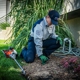 Fox Pest Control Albany