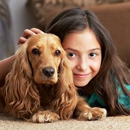 4 Rooms $99 / Carpet Masters of San Antonio - Upholstery Cleaners