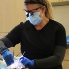 Woodbridge Dental Services
