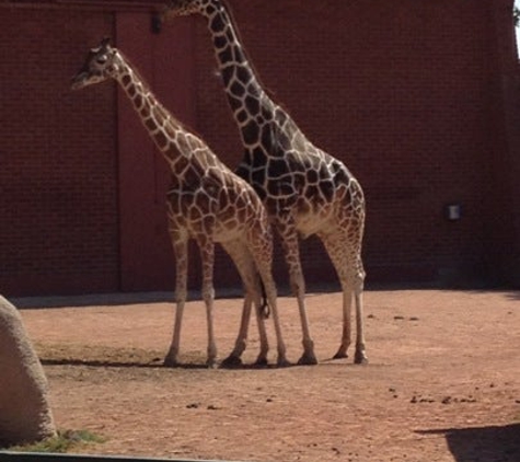 Denver Zoo - Denver, CO