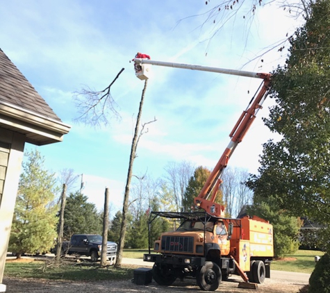 Martin's Tree Service - Eaton, OH