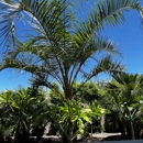 Moon Valley Nurseries - Nurseries-Plants & Trees
