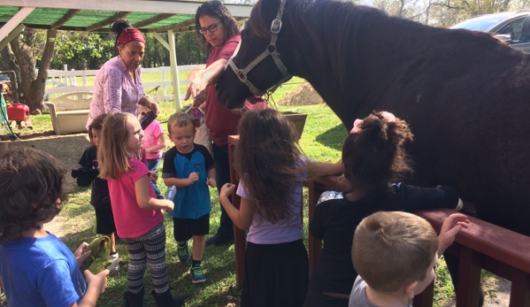 Applegate Child Care - Pearland, TX