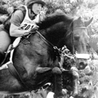 SaddleFit and Solutions