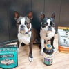 Happy Tails Pet Supplies gallery