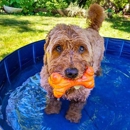 Marshfield Veterinary Service - Veterinarians