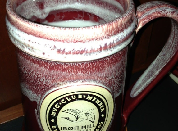 Iron Hill Brewery & Restaurant - Phoenixville, PA