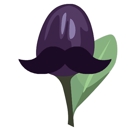 Filius Blue - Marketing Consultants
