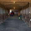 Kane Horsemanship gallery