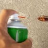 Montachusett Pest Control gallery