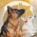 Dog Training Elite Des Moines - Dog Training