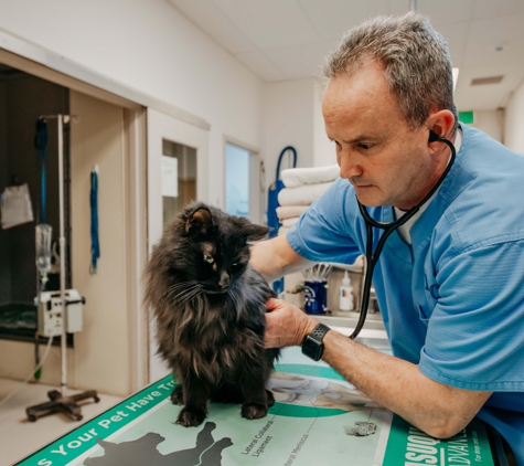 Fallston Veterinary Clinic - Fallston, MD