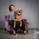 Dogpatch Studio - Pet Services