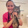 ZumiVet In-Home Veterinary Care gallery
