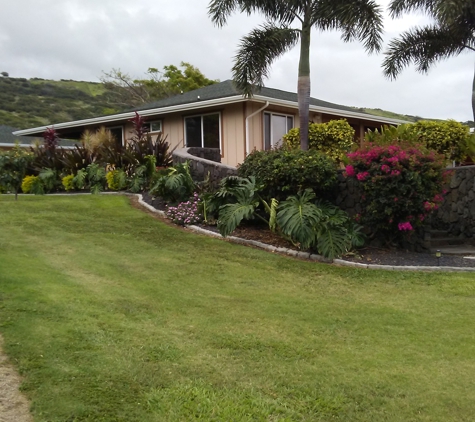 1 Hawaii Landscapes - Kurtistown, HI. Tropical garden