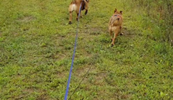 Camp K-9 Dog Boarding - Forest Lake, MN