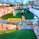 Happy Dog Pet Resort - Pet Services