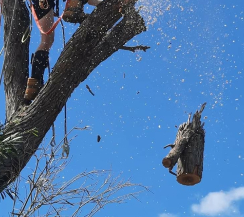 Cape Tree Service Mount Barker, Porongurup and Kendenup - Mount Barker, WA