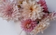 Blooming Lovely Flowers and Greenery - Wedding Flowers